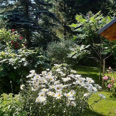 SeidelsFerienparadiesGahlenz Exterior foto