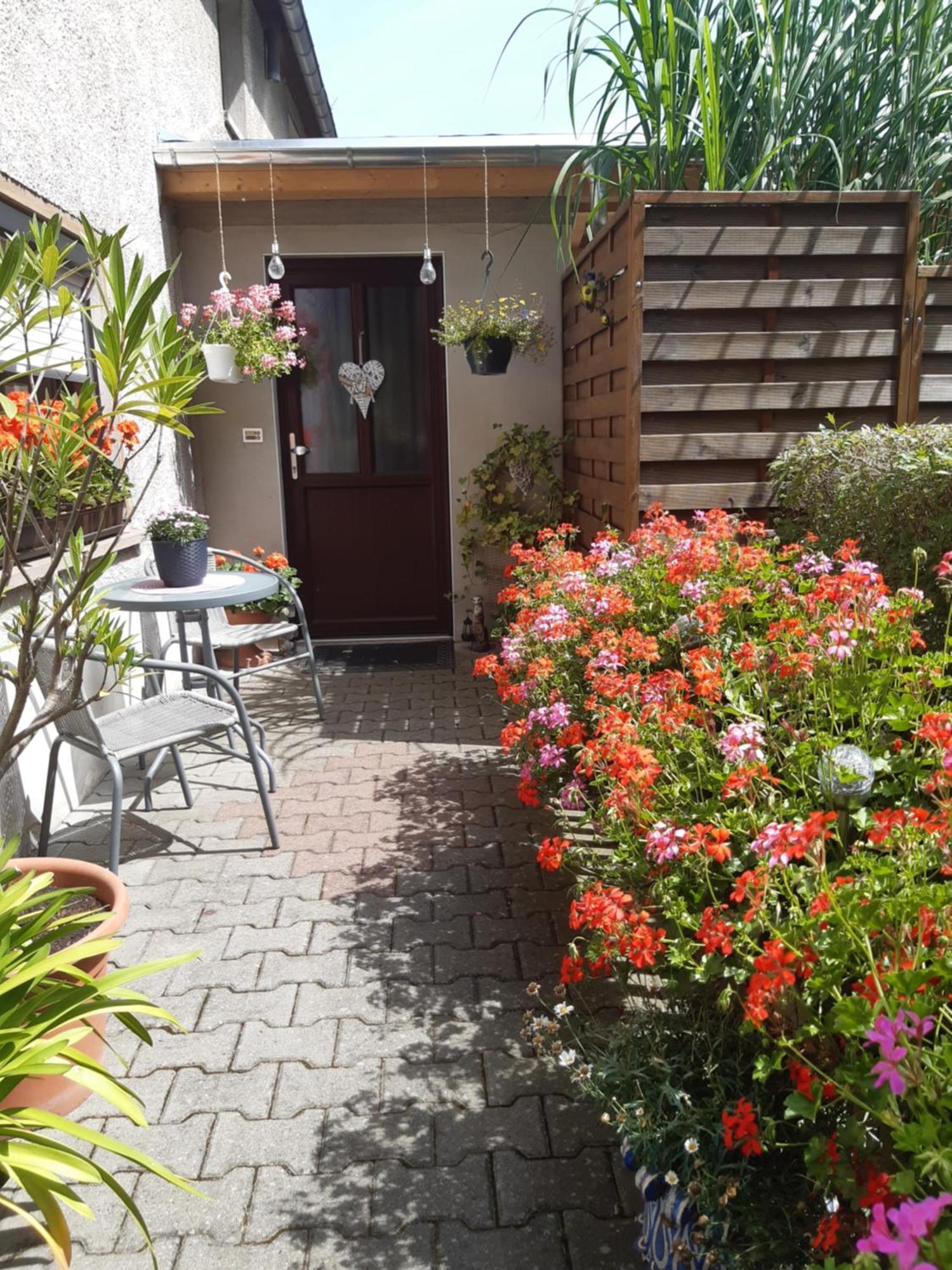 SeidelsFerienparadiesGahlenz Zimmer foto