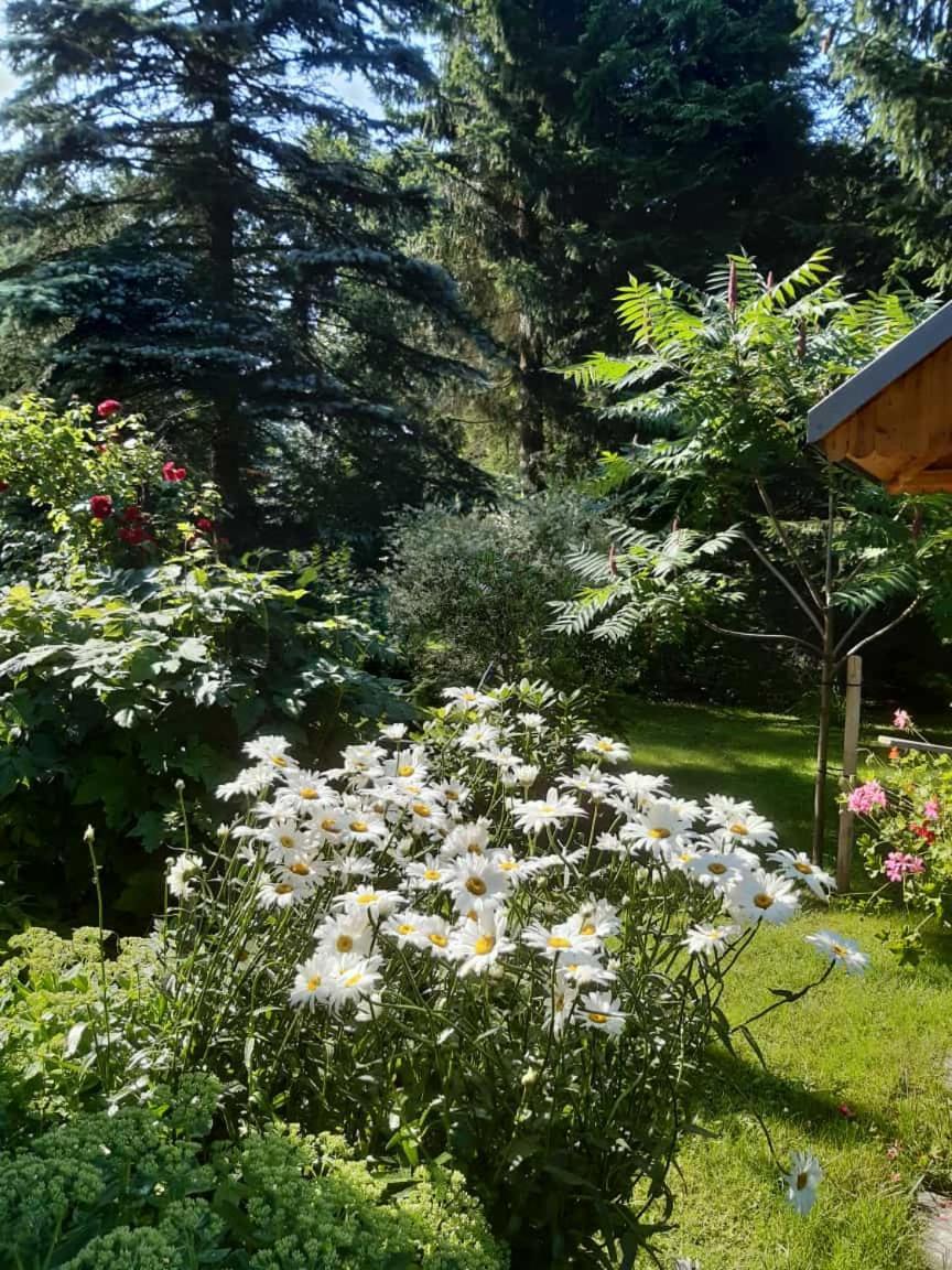 SeidelsFerienparadiesGahlenz Exterior foto