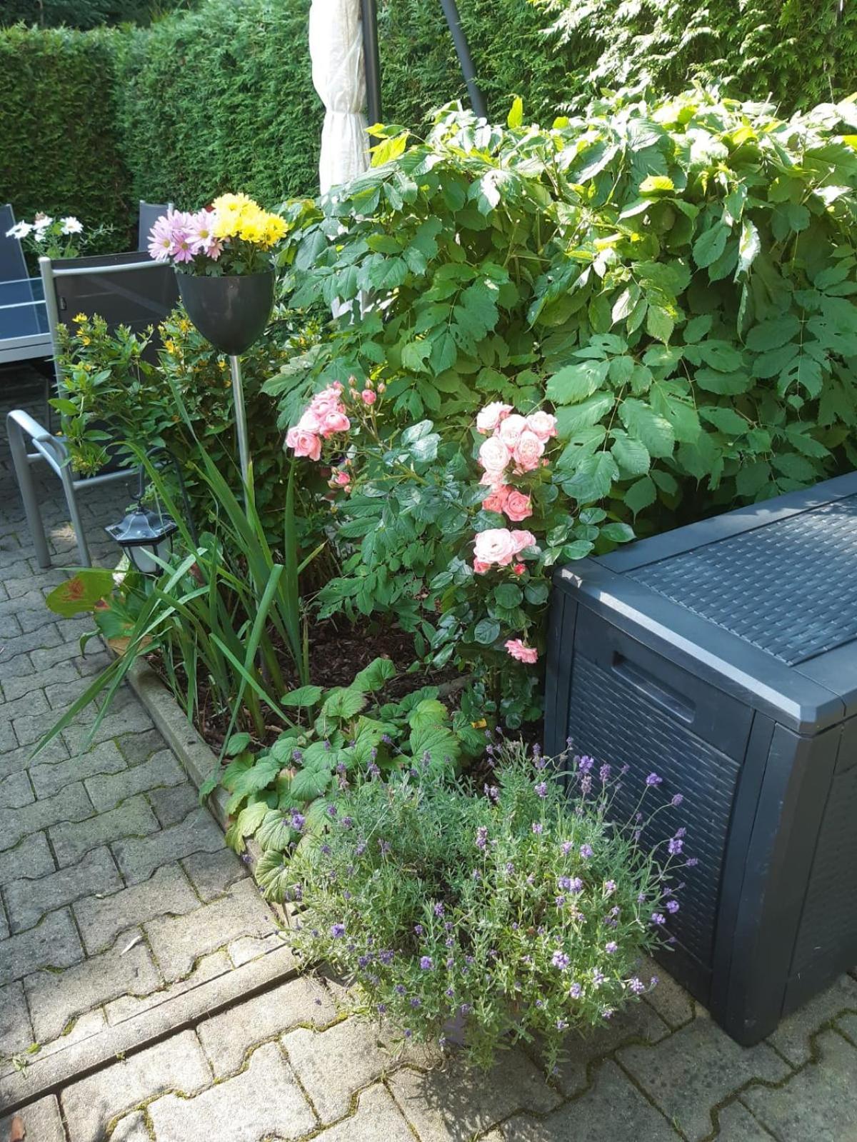 SeidelsFerienparadiesGahlenz Exterior foto