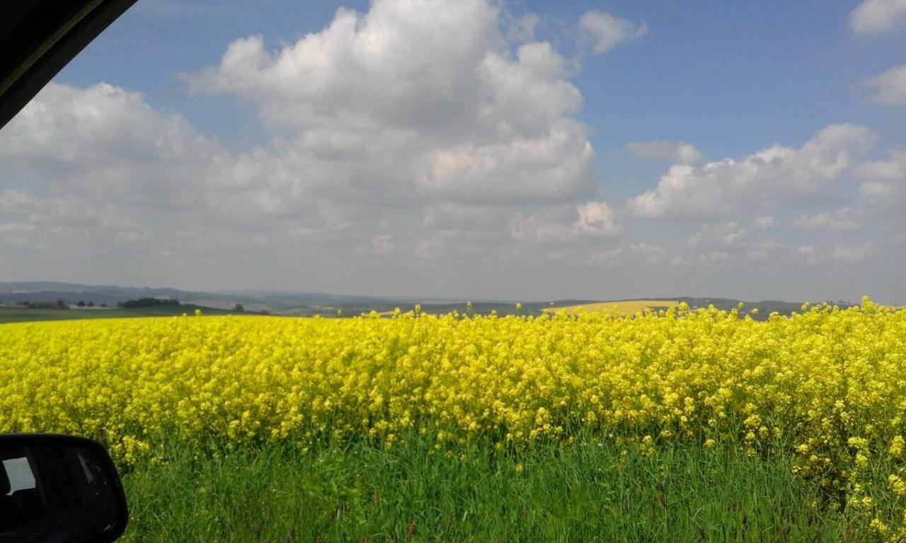 SeidelsFerienparadiesGahlenz Exterior foto